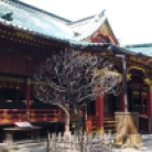 temple tokyo