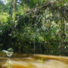 fleuve Cuyabeno
